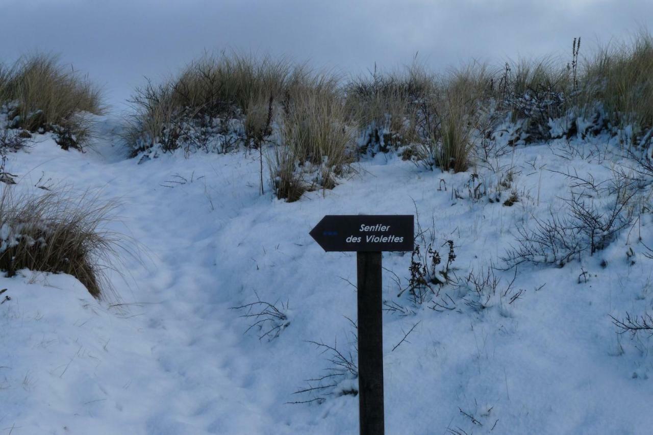 Stella Le Touquet Berck T2 Lägenhet Exteriör bild