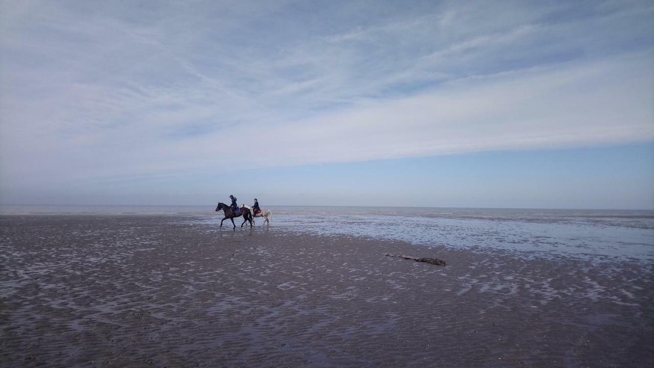 Stella Le Touquet Berck T2 Lägenhet Exteriör bild